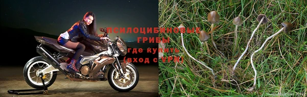 apvp Покровск